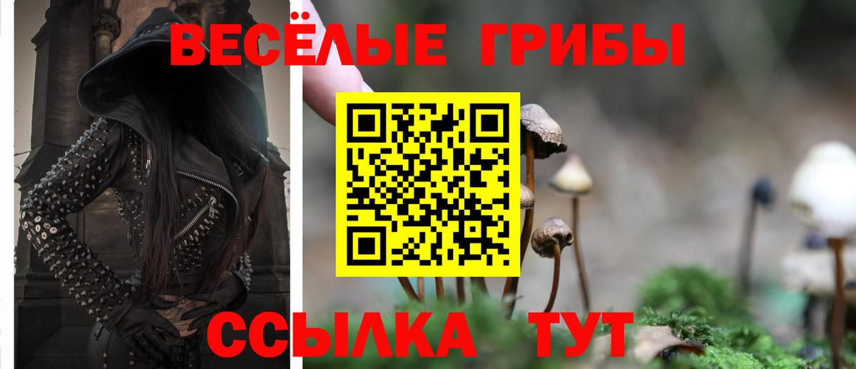 Псилоцибиновые грибы ЛСД  Псилоцибиновые грибы Magic Shrooms  Вход с VPN  Лесозаводск 